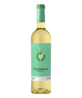 Vinho Português Ciconia Alentejano Vinho Branco 750ml